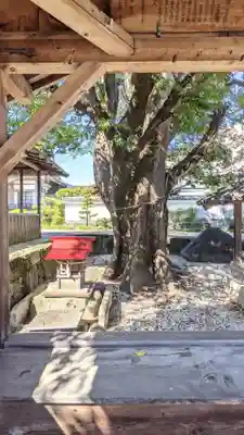 聖徳寺の末社・摂社