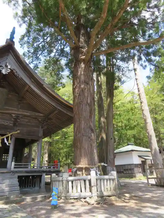 矢彦神社の自然