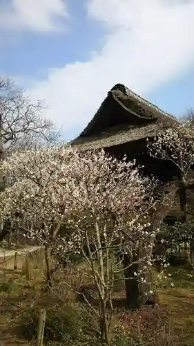 東慶寺の庭園