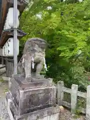 大石神社の狛犬