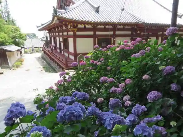 矢田寺(奈良県)