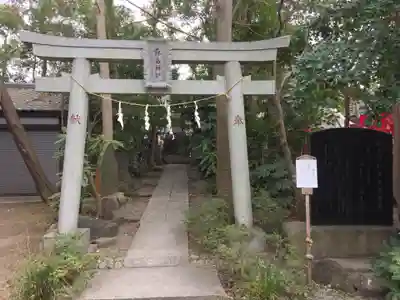 篠崎浅間神社の鳥居