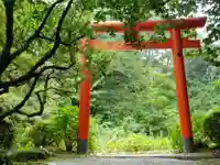 天開稲荷社の鳥居