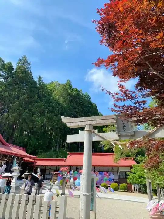 金蛇水神社の{uncategorized: "未分類", other: "その他", undefined: "問題あり", building: "その他建物", grave: "お墓", sacred_gate: "鳥居", guardian: "狛犬", statue: "像", buddha: "仏像", history: "歴史", nature: "自然", garden: "庭園", animal: "動物", pagoda: "塔", temizu: "手水舎", mountain_gate: "山門・神門", sanctuary: "本殿・本堂", subordinate: "末社・摂社", art: "芸術", scenery: "景色", jizo: "地蔵", ema: "絵馬", goshuin: "御朱印", omikuji: "おみくじ", items: "授与品その他", amulet: "お守り", goshuincho: "御朱印帳", eats: "食事", festival: "お祭り", votive_dance: "神楽", shichigosan: "七五三参", wedding: "結婚式", experience: "体験その他", initially: "初詣", around: "周辺", anti_infection: "感染症対策"}