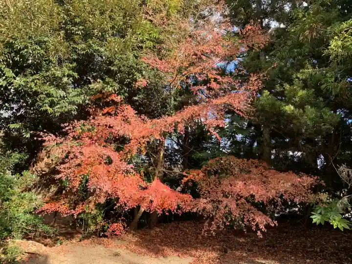 皇産靈神社(千葉県)