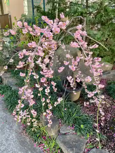 眞性寺の{uncategorized: "未分類", other: "その他", undefined: "問題あり", building: "その他建物", grave: "お墓", sacred_gate: "鳥居", guardian: "狛犬", statue: "像", buddha: "仏像", history: "歴史", nature: "自然", garden: "庭園", animal: "動物", pagoda: "塔", temizu: "手水舎", mountain_gate: "山門・神門", sanctuary: "本殿・本堂", subordinate: "末社・摂社", art: "芸術", scenery: "景色", jizo: "地蔵", ema: "絵馬", goshuin: "御朱印", omikuji: "おみくじ", items: "授与品その他", amulet: "お守り", goshuincho: "御朱印帳", eats: "食事", festival: "お祭り", votive_dance: "神楽", shichigosan: "七五三参", wedding: "結婚式", experience: "体験その他", initially: "初詣", around: "周辺", anti_infection: "感染症対策"}