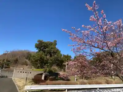 金龍寺(神奈川県)
