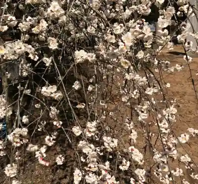 梅園神社の自然