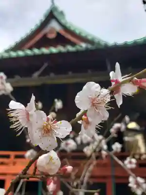 赤坂氷川神社(東京都)
