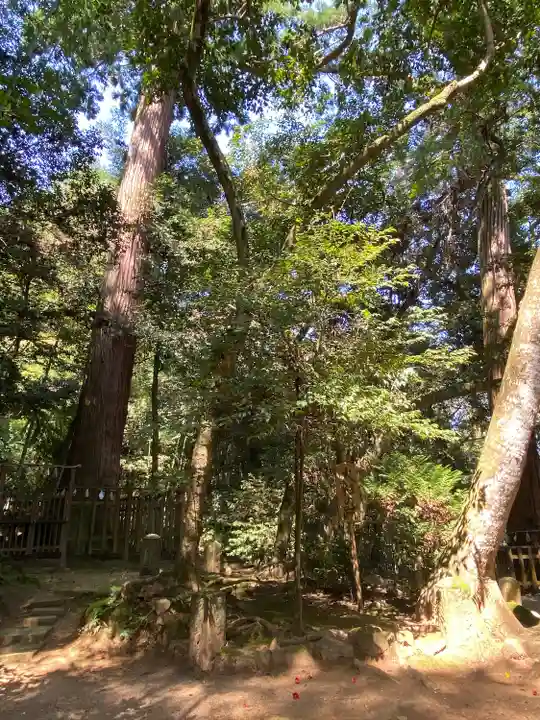 八重垣神社(島根県)