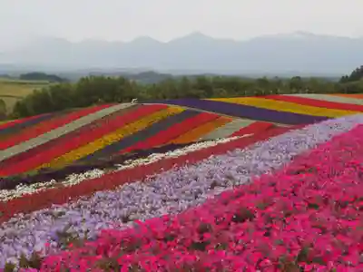 美瑛神社の周辺