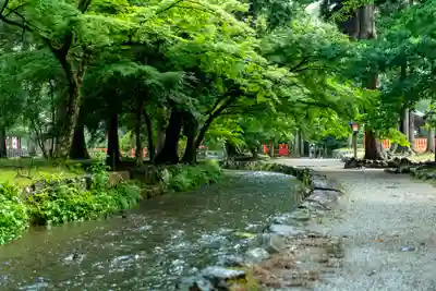 賀茂別雷神社（上賀茂神社）(京都府)
