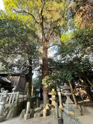 鎌若宮神社(滋賀県)