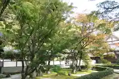 永源寺(滋賀県)