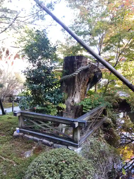 寂光院(京都府)