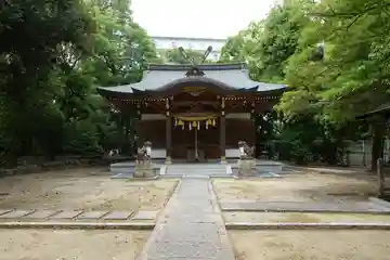 春日神社(粟生新家鎮座)の本殿・本堂