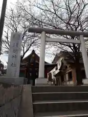 浅草富士浅間神社の鳥居