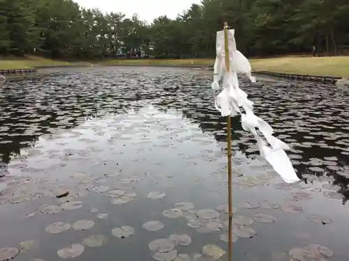 江田神社の自然