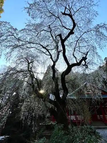清水寺(長野県)