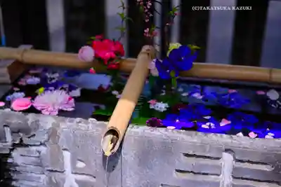 元町厳島神社の手水舎