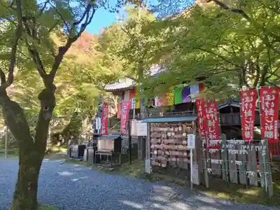 今熊野観音寺(京都府)