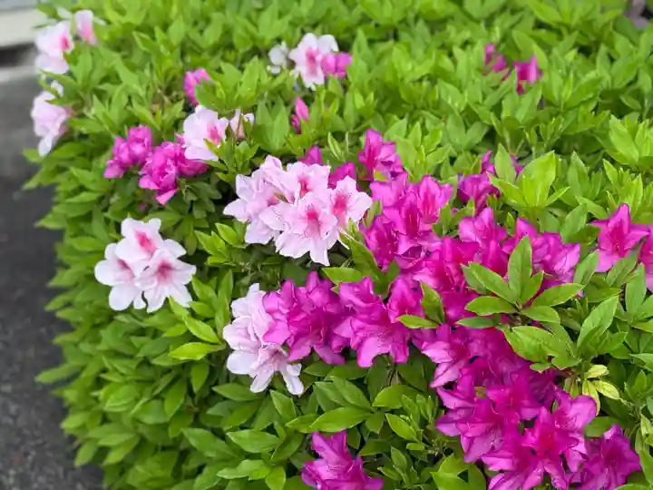 西方山極楽寺(岐阜県)