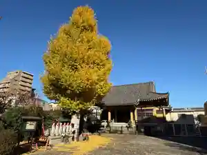福王山 慈眼寺(東京都)(2025年12月16日(火) 09時32分39秒投稿)