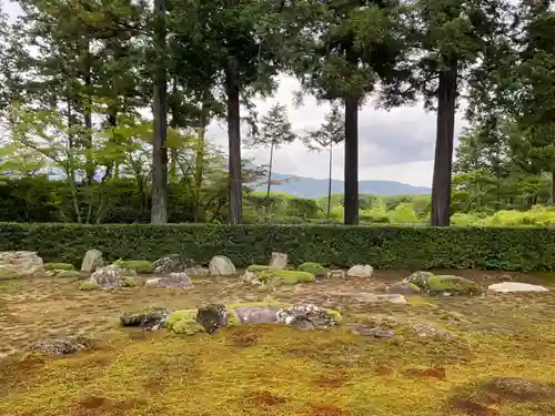 圓通寺(京都府)