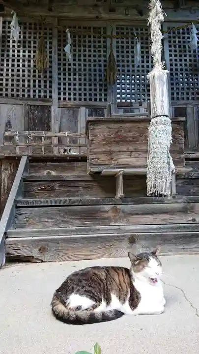 修那羅山安宮神社の動物