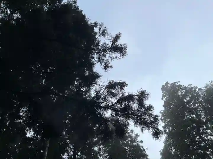 大宮温泉神社(栃木県)