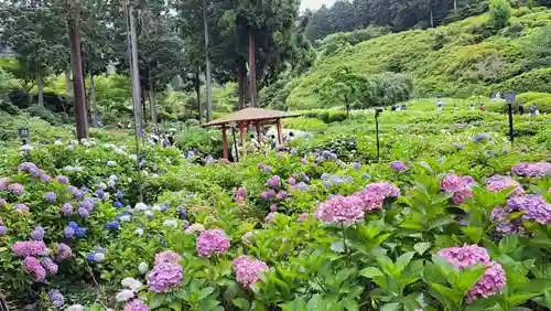 三室戸寺の自然