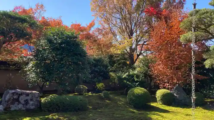 天得院(京都府)