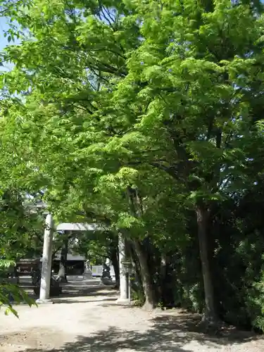 小垣江神明神社の鳥居