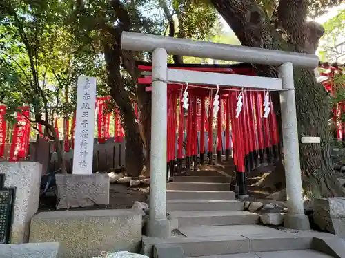 乃木神社の鳥居