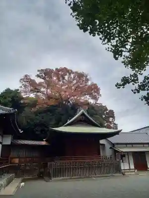 平塚神社(東京都)
