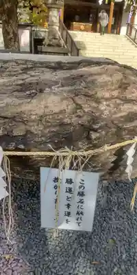 亀戸 香取神社(東京都)