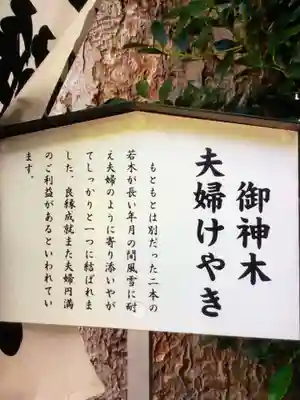 阿佐ヶ谷神明宮(東京都)