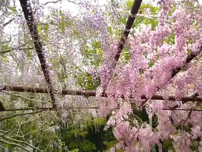 和氣神社(和気神社)の自然