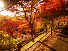 足利織姫神社の自然