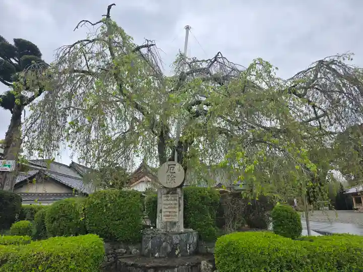 厄除観音寺(長田観音)(和歌山県)