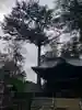 熊野神社(東京都)