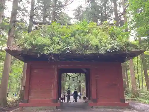 戸隠神社奥社(長野県)