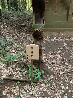 浅間神社(千葉県)