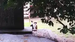 雀神社の動物