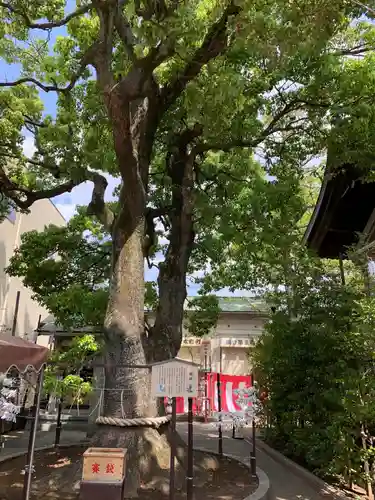 溝口神社の自然