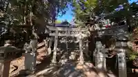 毛知比神社の鳥居
