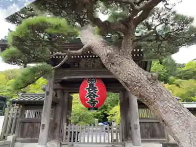 長谷寺の山門・神門