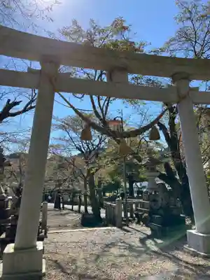 天鷹神社(岐阜県)