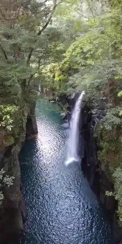 高千穂神社の自然