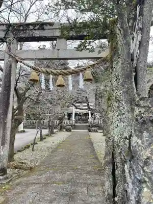 天鷹神社(岐阜県)